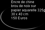 Encre de chine, brou de noix sur papier aquarelle 325g 30 x 40