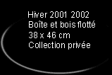 Bo&icirc;te et bois flott&eacute; 38 x 46